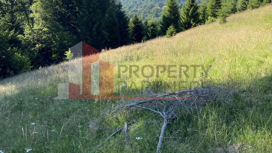 Teren 14400 mp la iesire din Rasnov inspre Pârâul Rece-Trei Brazi - Poză 9