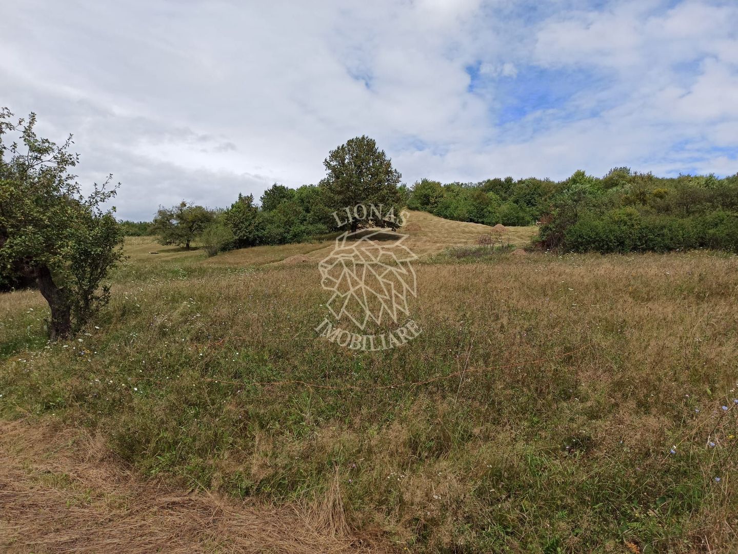 Teren 5200 mp-ideal cabane, case de vacante, agricultura-Livezile - Poză 1