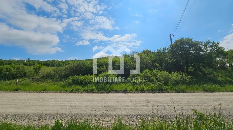 Teren cu vedere la Lacul 2 – 2.103 mp | Câmpenești - Poză 1