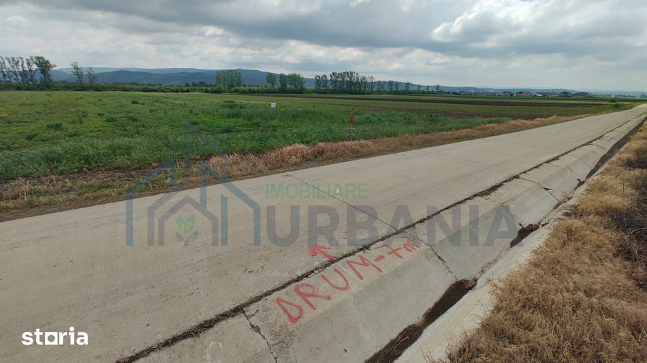 Teren intravilan parcelat pentru locuință sau investiție, Holboca Dancu - Poză 2
