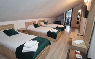 Pensiune  în Călimănești + 2 A-Frame - Teren 5.574 mp - Bonus Mercedes 350d - Poză 8