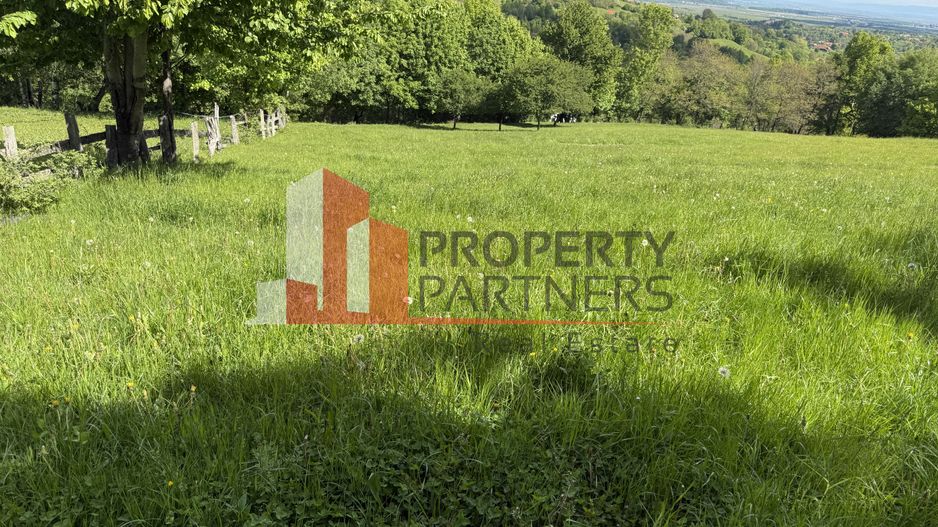 Teren Bran Sohodol 6700 mp - Poză 4