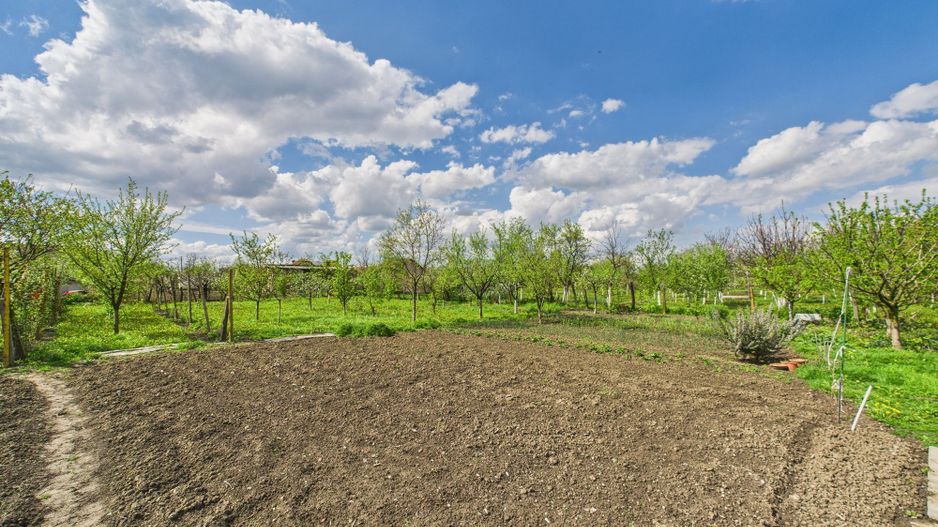 Casă individuală la Beregsău Mare, 2890 mp teren - Poză 31