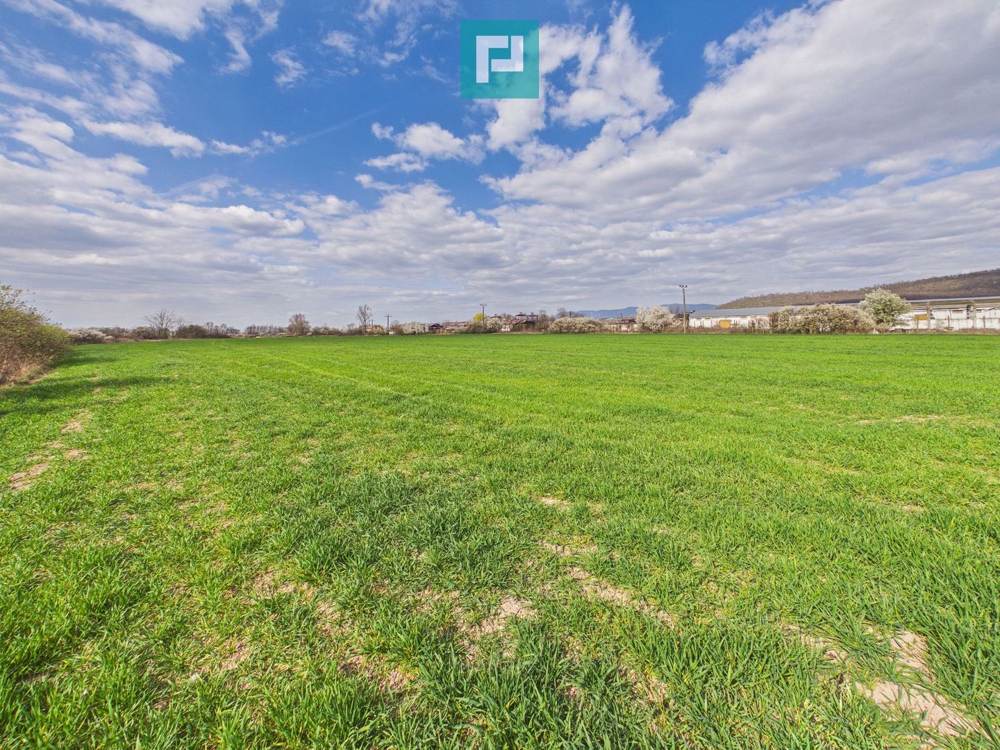 Teren extravilan, 1 ha, în orașul Sebiș, Arad - Poză 7