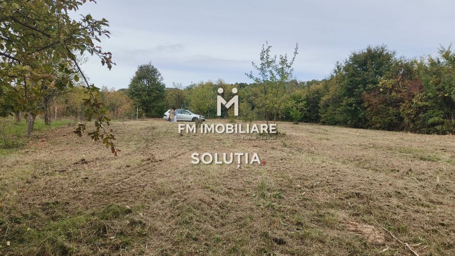 Teren intravilan de vânzare – 14 ari – Buzești – 25 minute de oraș - Poză 3