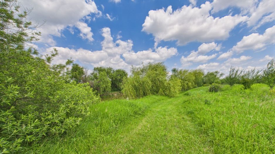 Teren cu baltă- oportunități multiple la Fibiș - Poză 12