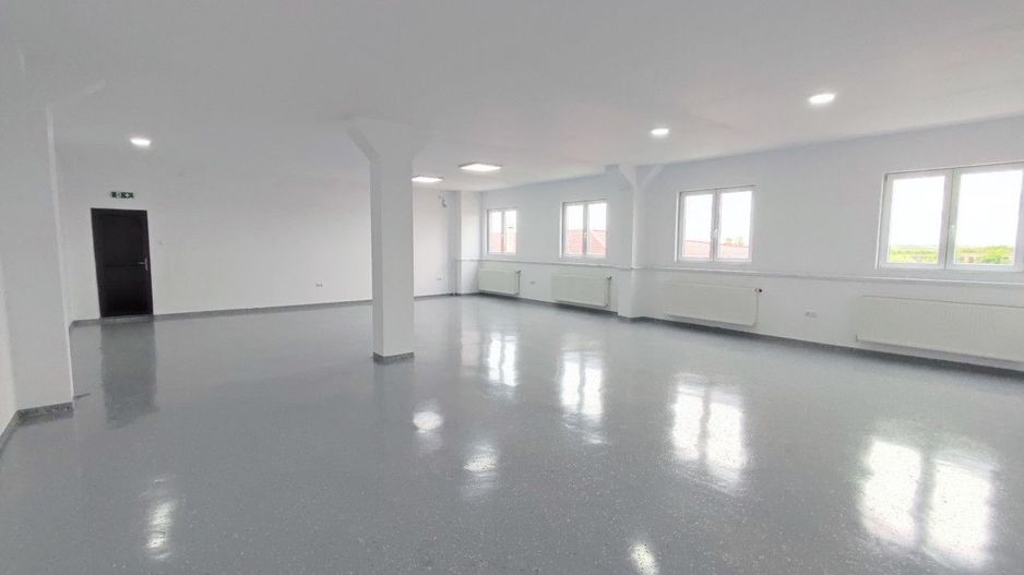 Inchiriere Spații de Birouri/Producție - Str. Uzinei - Carei - Comision 0% - Poză 2