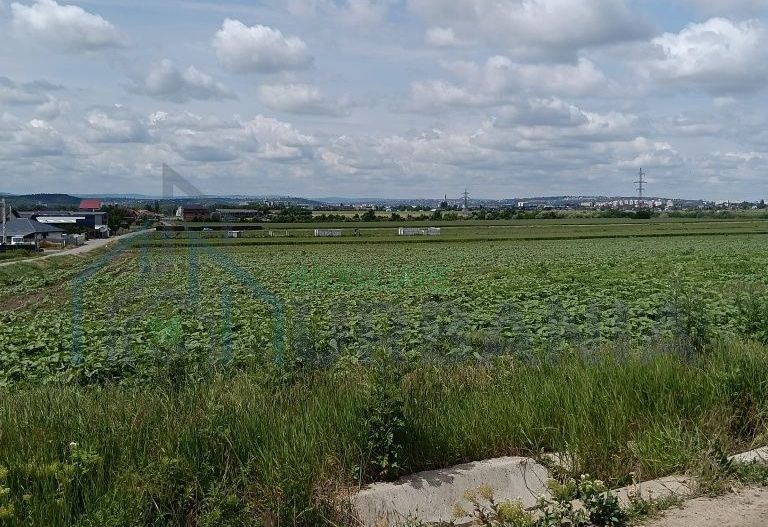 Teren intravilan de vânzare în Dancu – 2 loturi, 550 mp și 553 mp - Poză 2