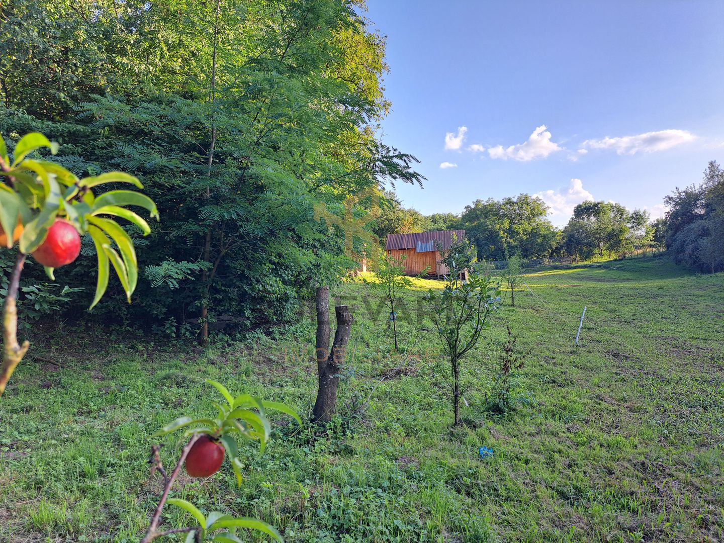 Comision 0. Casuta mobila cu teren de 5491 mp la 25 km de Cluj-Napoca - Poză 23