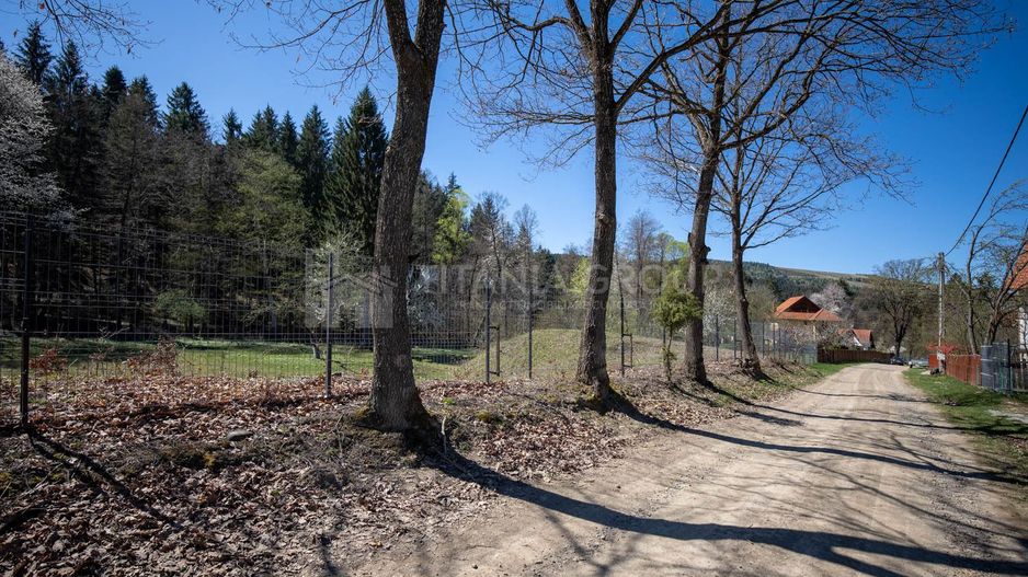 Teren intravilan, pretabil pentru casa de vacanta, 2000 mp - Poză 10