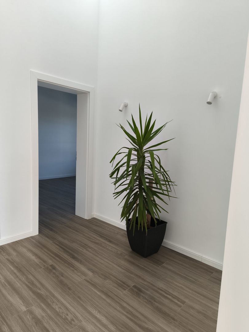 Casa individuala pe parter Sanandrei-comision 0 - Poză 13