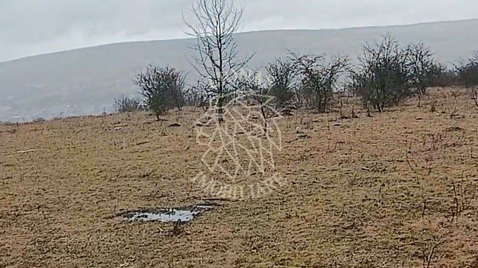 Teren 10000mp intravilan Chinteni 14 case aprobate  Investiție dezvoltator - Poză 5