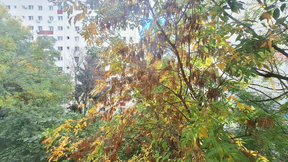 Apartament de inchiriat - Berceni - Emil Racoviță - Poză 9