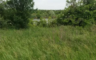 Teren Buftea cu iesire la lac - Poză 25