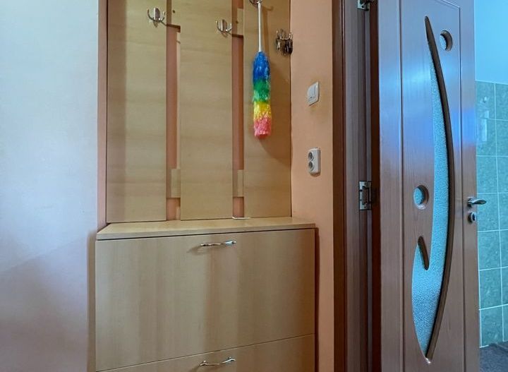 Apartament 1 camera, de inchiriat in Lugoj zona Kaufland - Poză 7