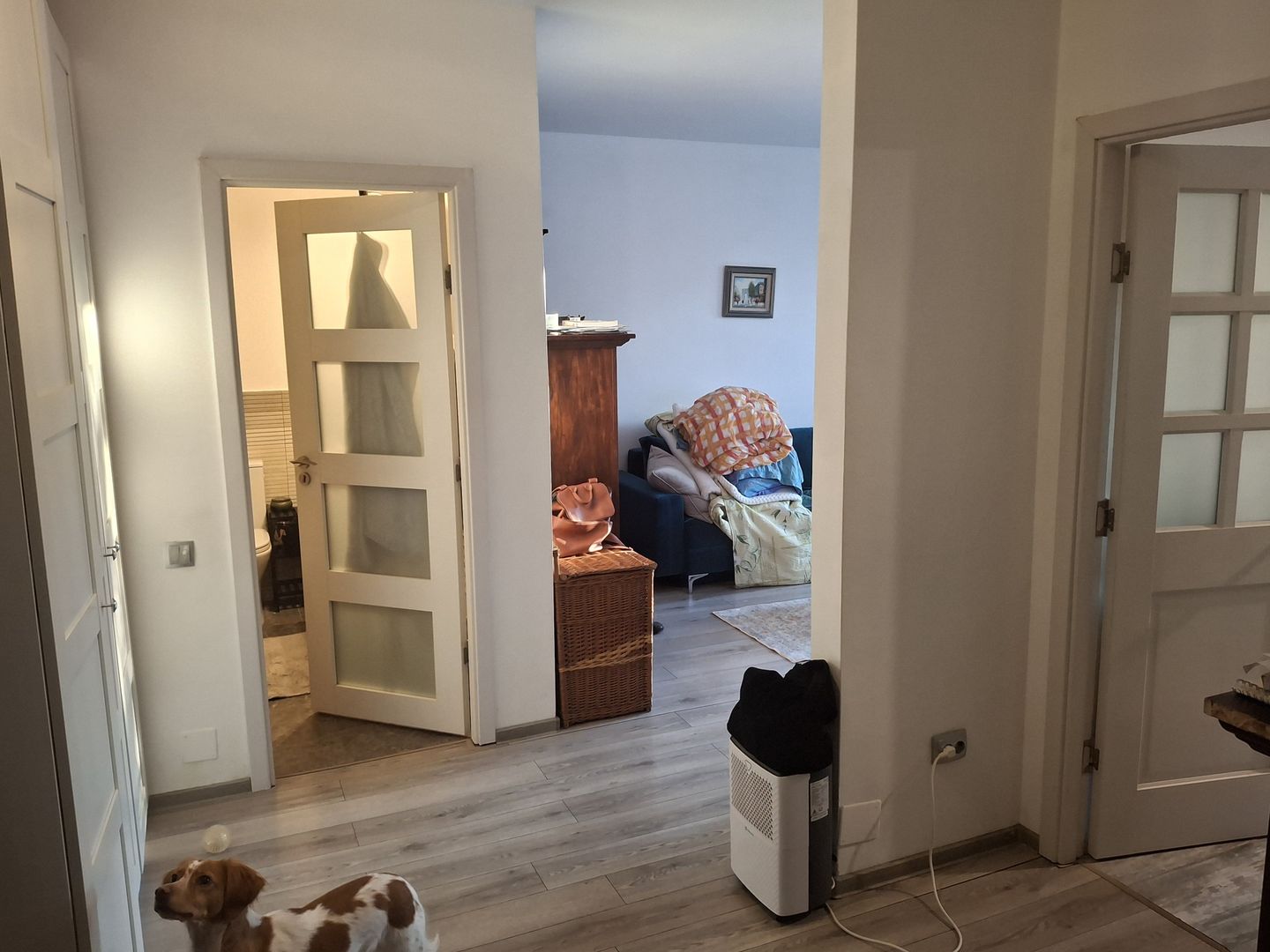 De vanzare apartament cu gradina - Poză 6