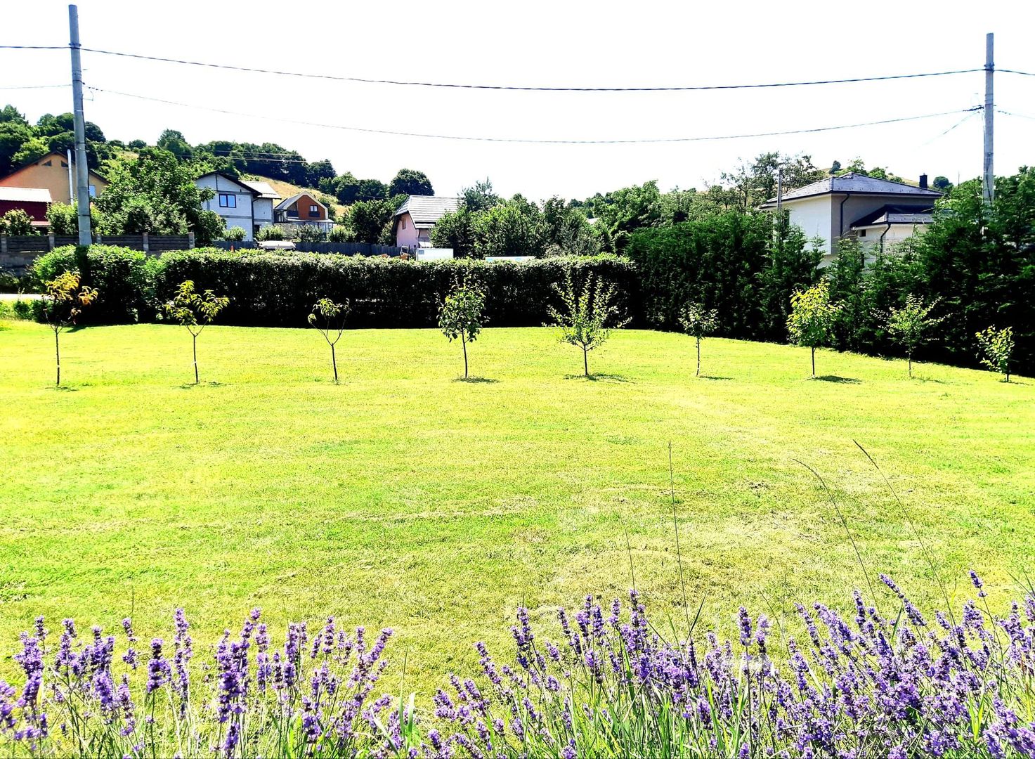 Casa traditionala de vis, aproape de Cluj-Napoca - Poză 20