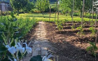 Teren intravilan de vanzare, Ciugud - Poză 1