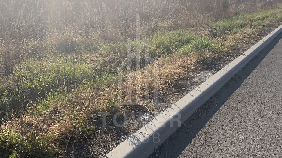 TEREN INTRAVILAN - ZONA INDUSTRIALA VEST-9000 mp, sau 18000 mp - Poză 7