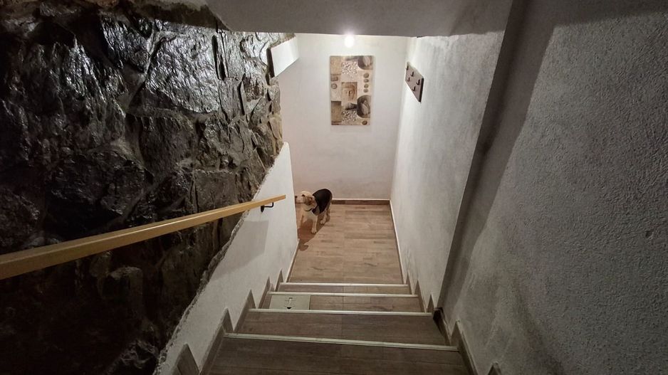 Casa de vanzare in Sibiu, birouri, clinica ,Parcul Sub Arini - Poză 25