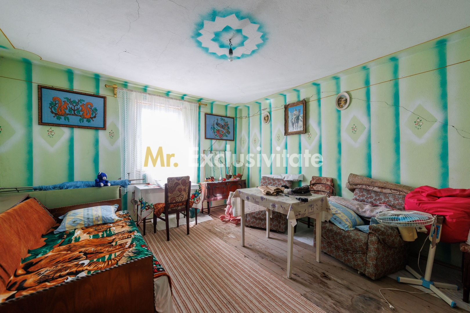 CASA SI GOSPODARIE DE VANZARE – SPINENI, OLT | 4.000 MP TEREN - Poză 9