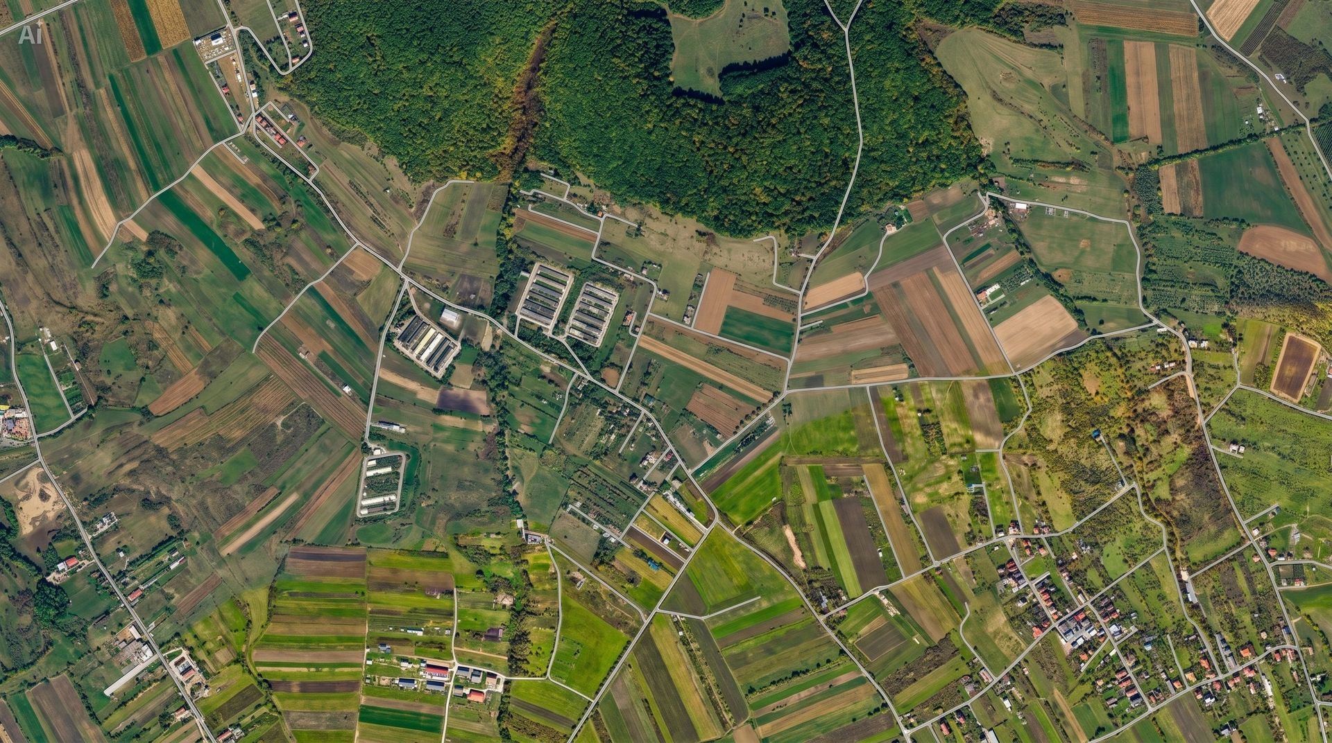 Oportunitate investiție–Teren intravilan 4.538 mp în zona Lombului - Poză 2
