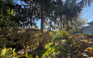 Teren Intravilan Sisesti 308m2, 0% COMISION - Poză 3