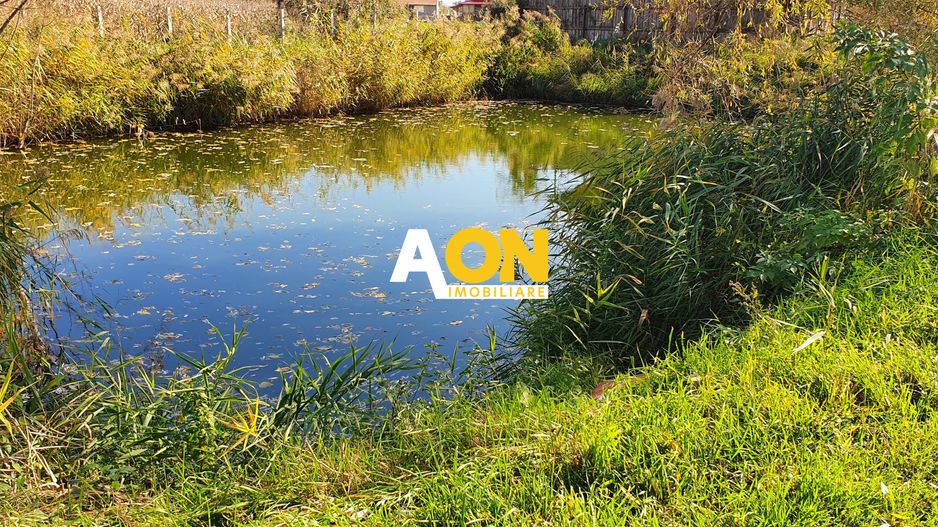 Casa cu 4 camere, la asfalt, 6200 mp teren, sat Sard, com. Ighiu - Poză 18