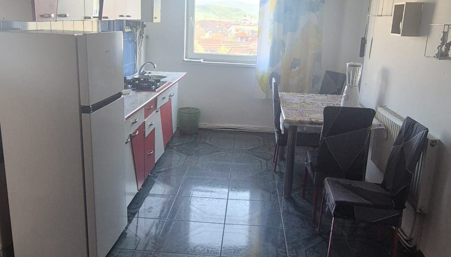 Apartament de inchiriat cu 2 camere, 55 mpu, mobilat, utilat, Sebes - Poză 3