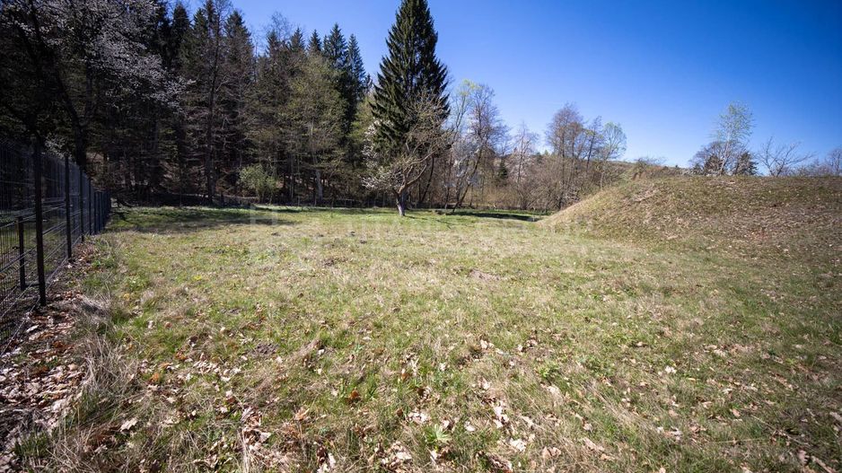 Teren intravilan, pretabil pentru casa de vacanta, 2000 mp - Poză 8