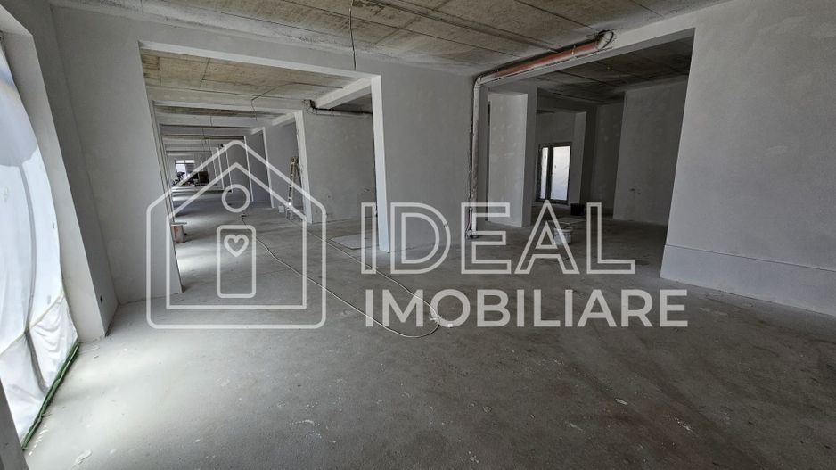 Spatiu comercial in zona Doamna Stanca - Poză 3