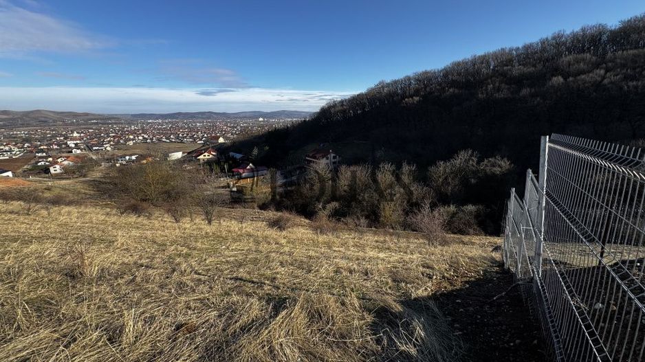 Oportunitate investiție 1153mp Tarnița - Micești - Poză 4