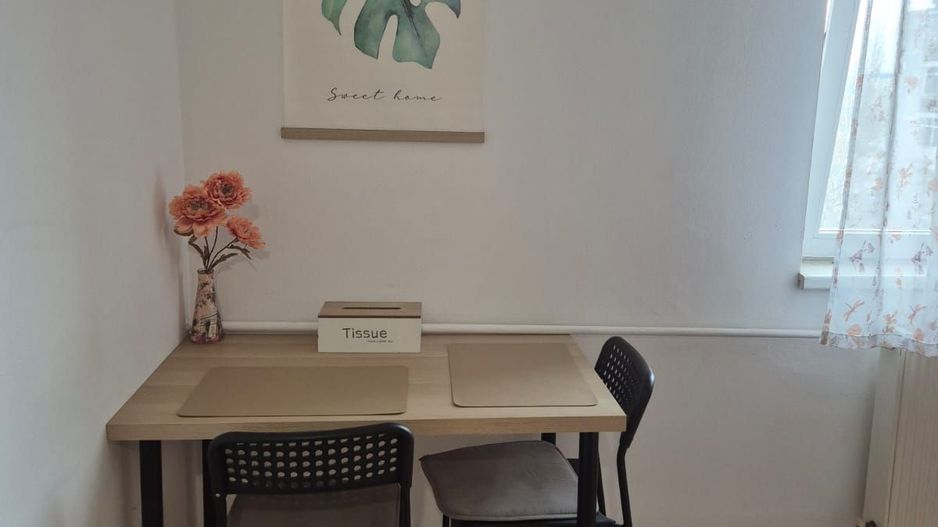 GARSONIERA DRUMUL TABEREI, CENTRALA, RENOVAT, MOBILAT, COMISION 0% - Poză 10