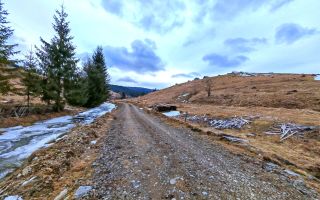 8.263 mp Teren cu Pârâu și Izvoare în Beliș-Fântânele, Cluj - Poză 10