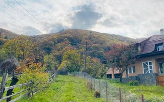 Casa + teren 1700 mp langa Padure Bran/ Predelut - Poză 16