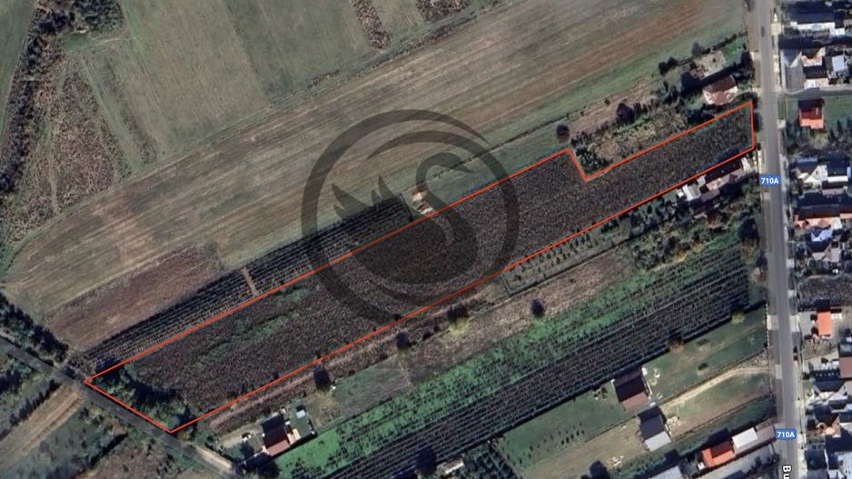 Teren intravilan de vanzare | 12.650 mp | Ghirdoveni, | COMISION 0% - Poză 2