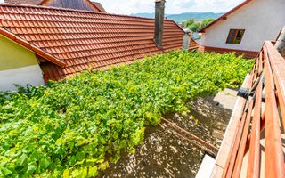 Casa + Pensiune deosebita - Orlat, Sibiu - Poză 38