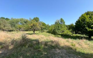 Teren de vânzare Cisnădioara - Poză 4