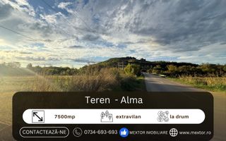Teren extravilan Alma - Poză 1