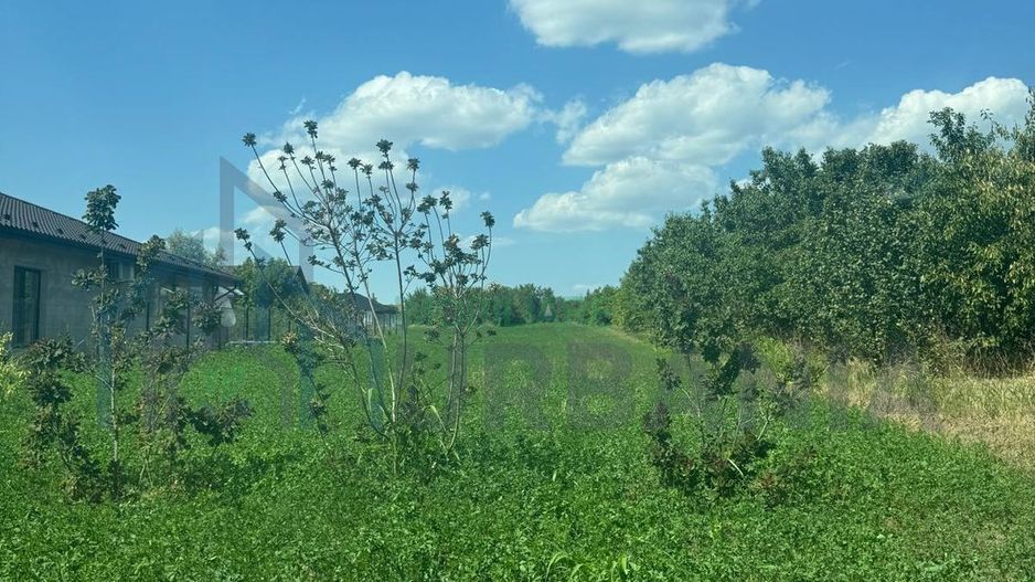 Teren intravilan de 3.000 mp în Aroneanu, cu PUZ realizat și indicatori urbanistici definiți - Poză 2