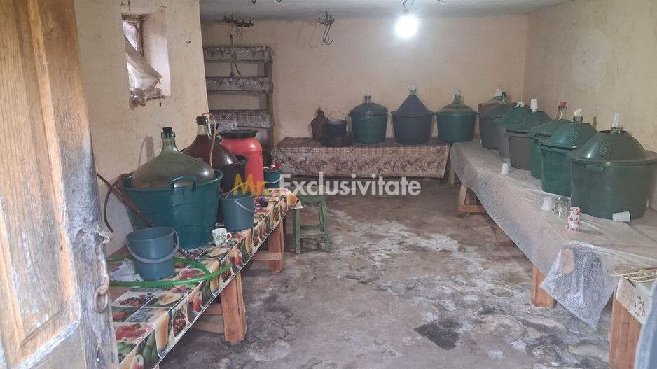 Casă tradițională cu teren generos – Borosteni, Peștișani, jud. Gorj - Poză 11