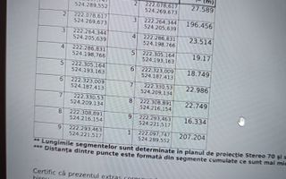 TEREN (GRADINA ) DE VANZARE  IN VLADIMIRESCU - Poză 3