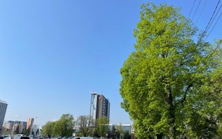 Oportunitate investitie, central , cu pivniță și pod - Poză 8