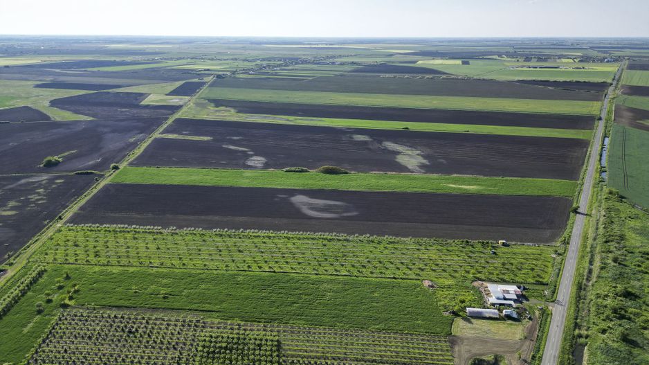 Livadă de nuci și pruni 2.4ha în Variașu Mare - Poză 10