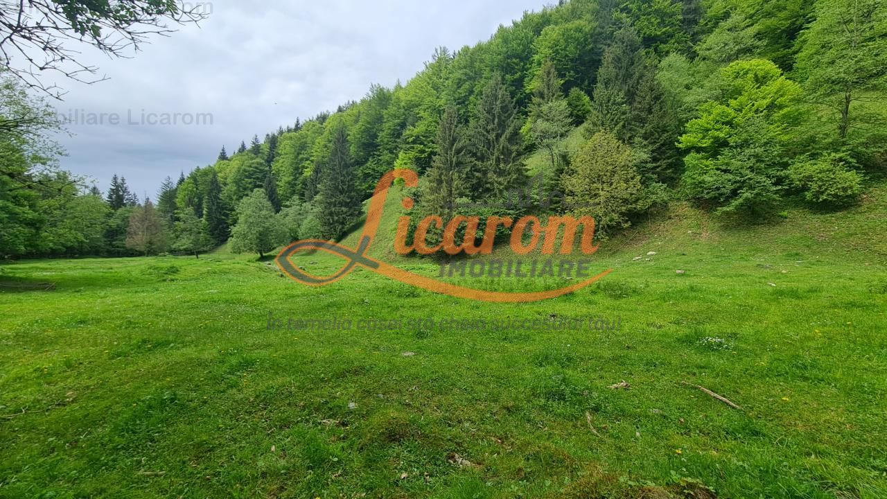 13005 mp teren faneata in Bran Simon cu fornt de 57 mp - Poză 3