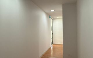 Saptiu de birou Iancului - Poză 3