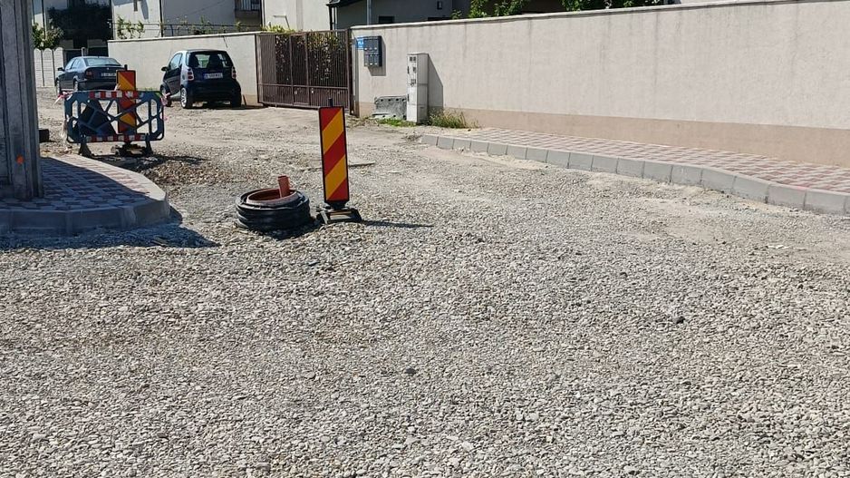 Bragadiru Penny Plevnei - Poză 2