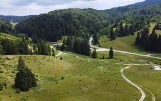 Teren Intravilan | Poiana Brasov | 5.000mp | Necesar PUZ - Poză 4