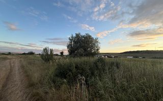 Teren – 7.194 mp | Răscruci – Zona Tetarom - Poză 2
