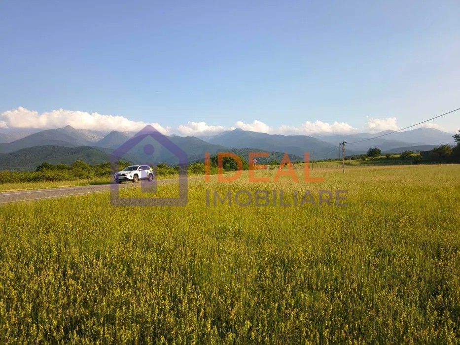 Teren extravilan de vânzare | Cârțișoara | 1800 mp - Poză 2